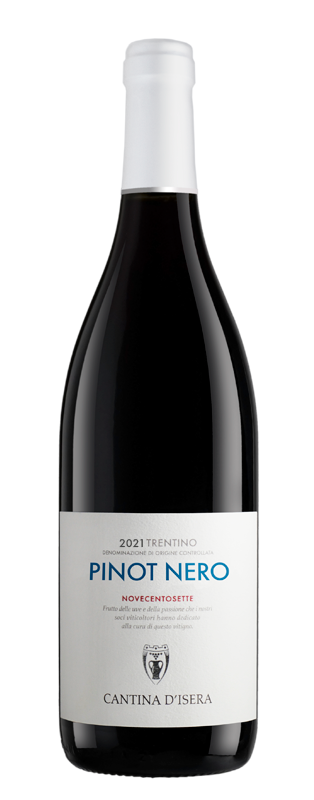 Pinot Nero Trentino - d.o.c.